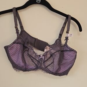 Victorias Secret Dream Angels Push Up Without Padding Elegant Purple Lace Bra